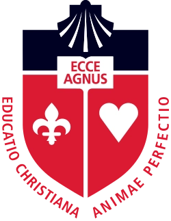 St. John's University. New York logo